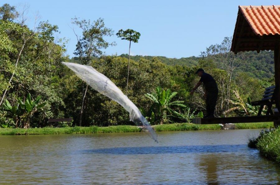 5 coisas sobre piscicultura que você não sabia
