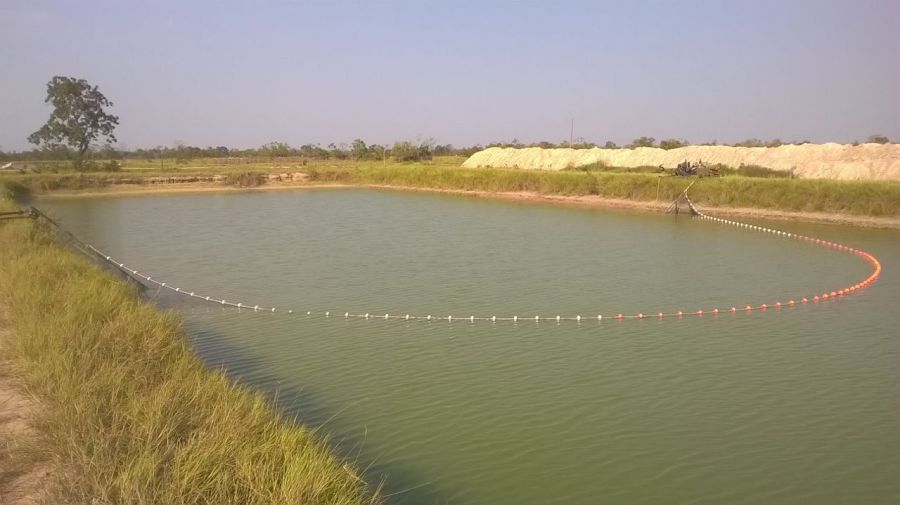 Aquicultura: Dicas para contribuir na melhoria da sua produção