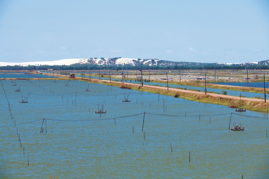 Ceará – Governo planeja criação de 10 parques aquícolas até 2018