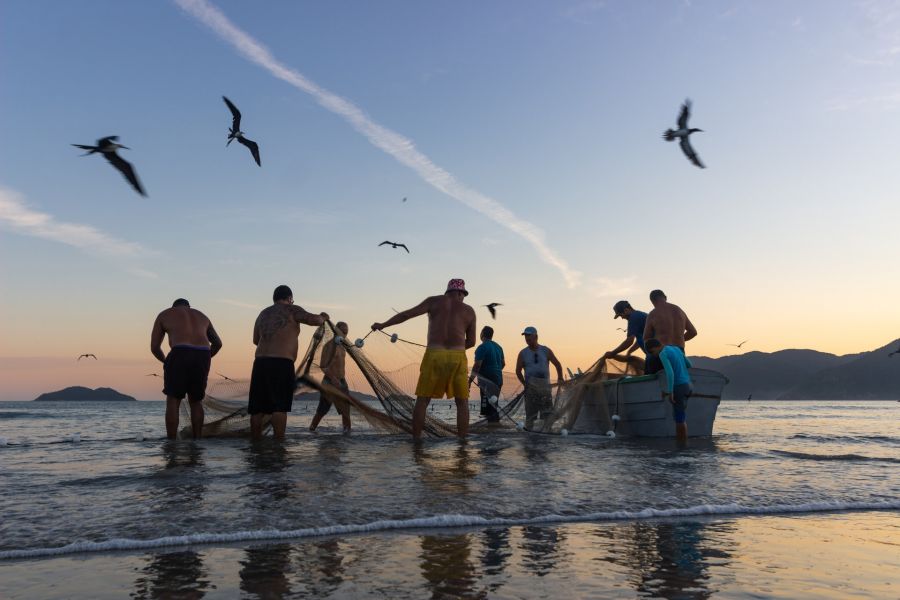 Cultivo de peixe-panga passa a ser permitido no Ceará