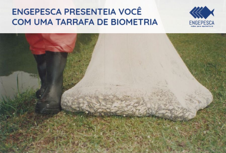 Engepesca presenteia você com uma tarrafa de biometria