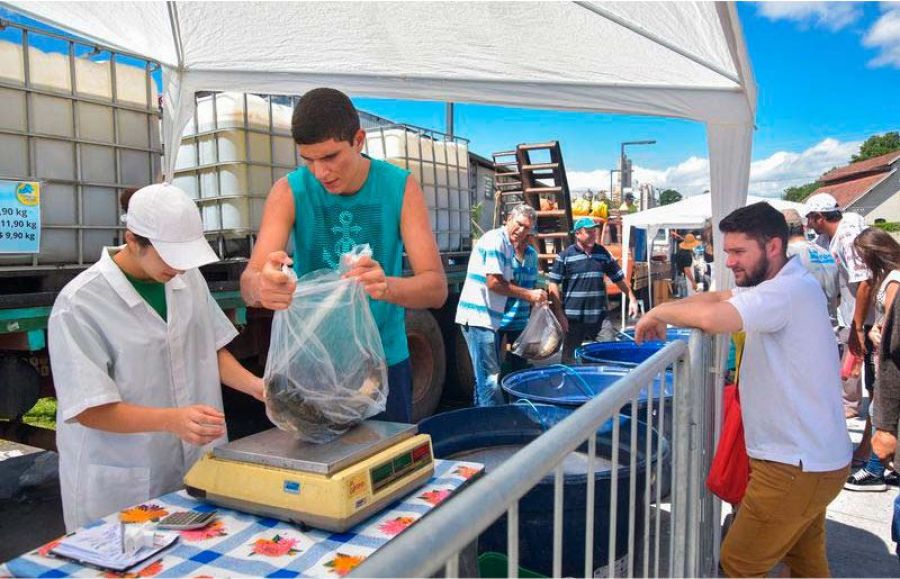 Feira do Peixe Vivo de Caxias do Sul supera expectativa de vendas