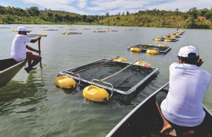 Governo Federal vai incentivar aquicultura no Sertão do São Francisco