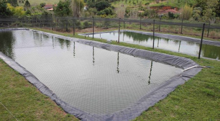 Imasul isenta de licença ambiental projetos de piscicultura de até 5 hectares