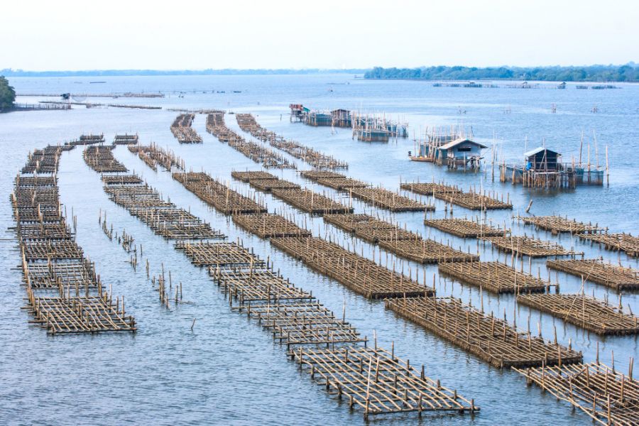 Início do inverno e os cuidados com o cultivo de peixes