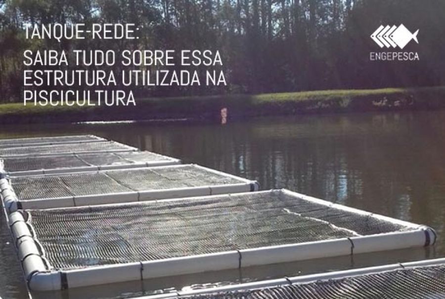 TANQUE-REDE: SAIBA TUDO SOBRE ESSA ESTRUTURA UTILIZADA NA PISCICULTURA