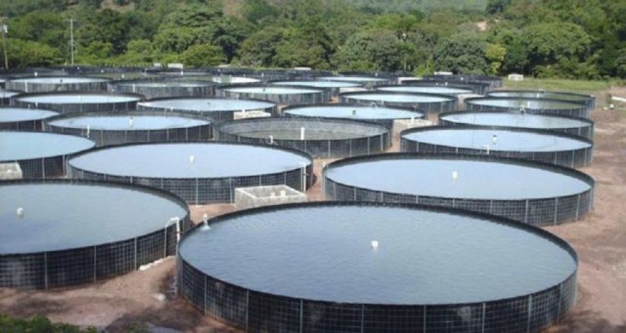 Tanques suspensos ou escavados: qual é a melhor opção?	