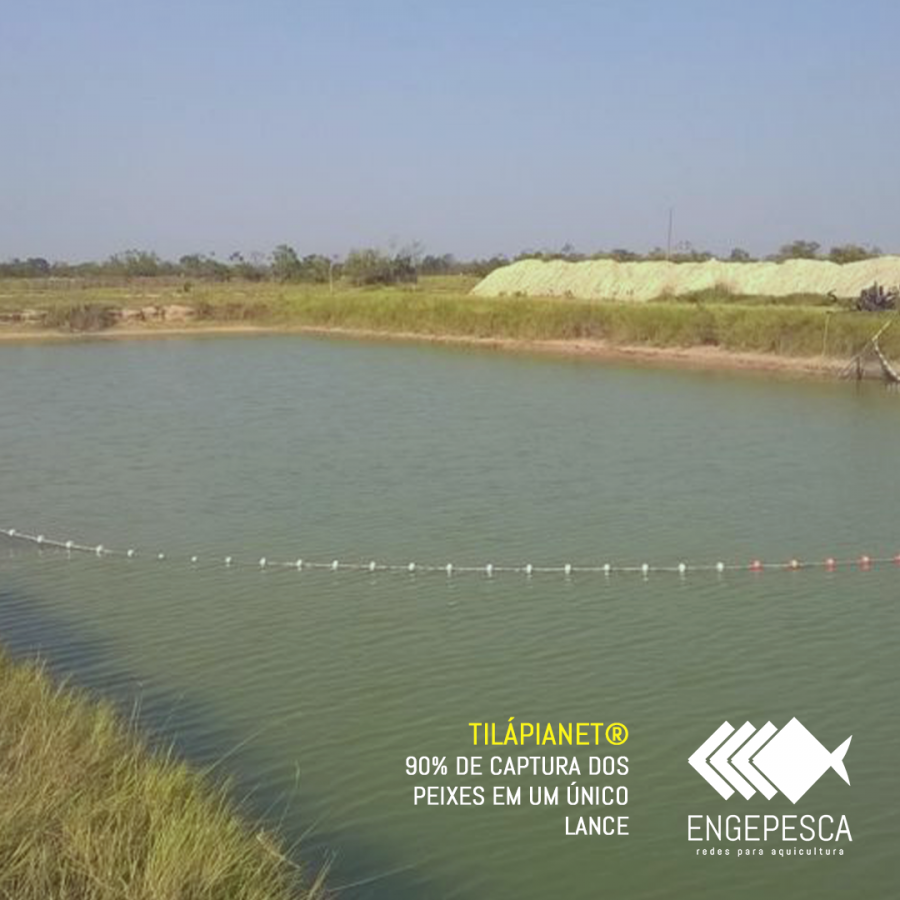 TilápiaNet® é a rede ideal para o seu cultivo