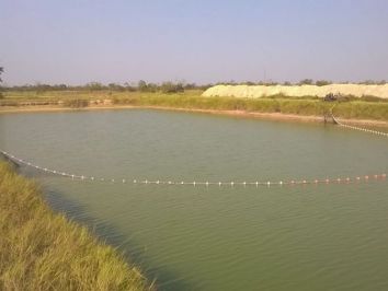 Aquicultura: Dicas para contribuir na melhoria da sua produção