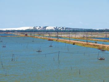 Ceará – Governo planeja criação de 10 parques aquícolas até 2018