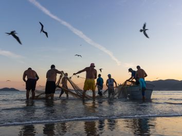 Cultivo de peixe-panga passa a ser permitido no Ceará