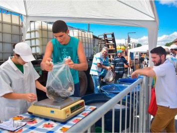 Feira do Peixe Vivo de Caxias do Sul supera expectativa de vendas