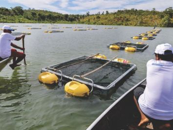 Governo Federal vai incentivar aquicultura no Sertão do São Francisco