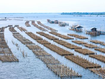 Início do inverno e os cuidados com o cultivo de peixes