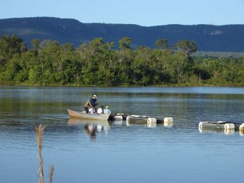 Minas Gerais avança no ranking nacional de criação de peixes