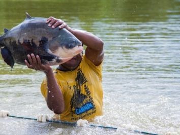 Piscicultura volta a crescer e safra pode render R$ 1 milhão a produtores de Laguna Carapã/MS