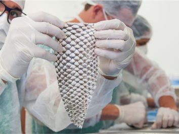 Primeiro banco de pele animal do Brasil é inaugurado no Ceará – e o produto é de tilápia