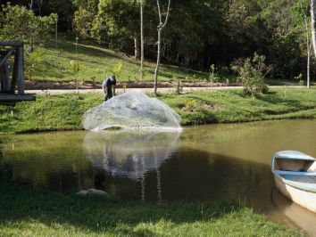 Qual é a diferença entre piscicultura e avicultura?