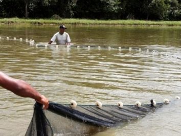 Zootec 2017 debate os desafios da aquicultura brasileira